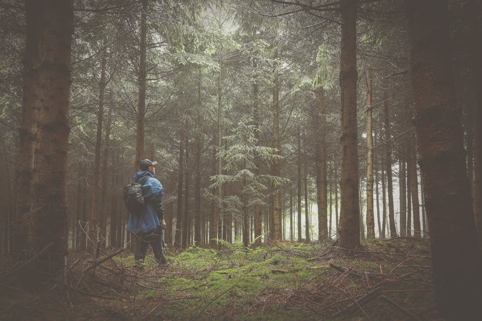 A man in a blue raincoat hikes through a lush forest, capturing the essence of adventure in nature.