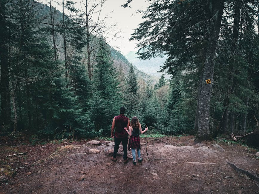 Couple enjoying a scenic hike in a lush Canadian forest, surrounded by evergreen trees.