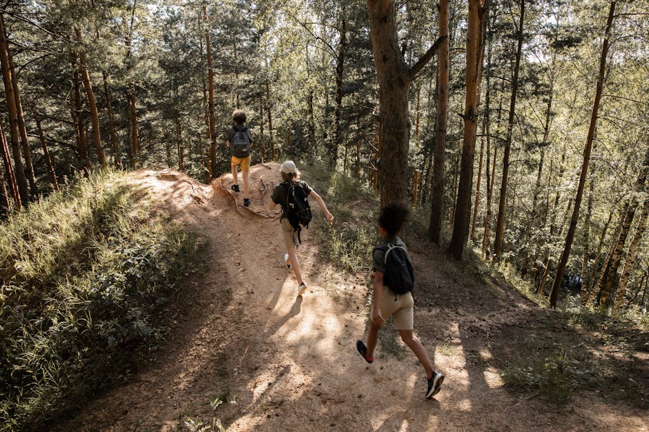 Group of teenagers hiking through a sunlit forest, enjoying a summer adventure.